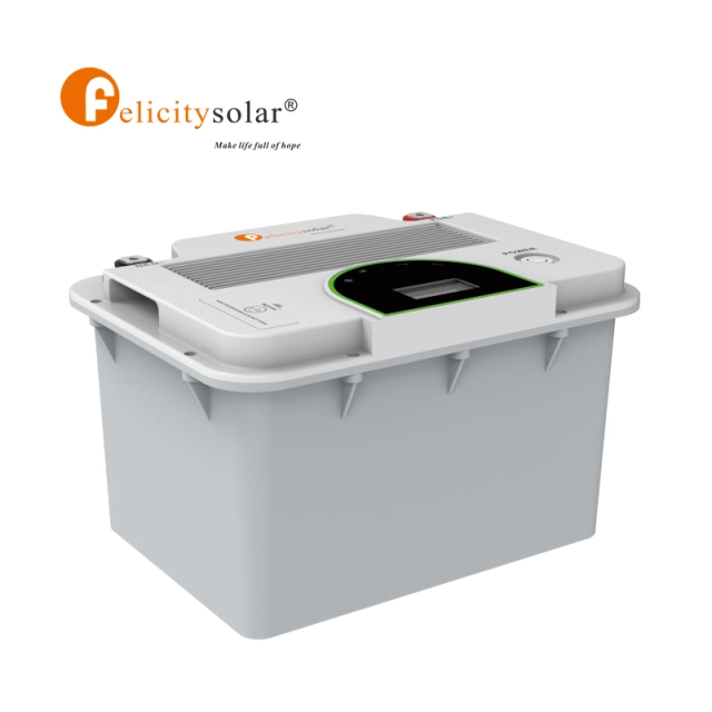 FLA12200 12v 200Ah 2.56Kwh Lithium Ion Battery LiFePO4 Cells Floor-Mounted LFP 5 Years Warranty 6000 Cycles - Image 3