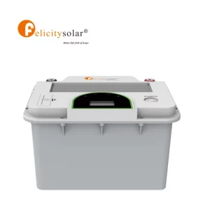 FLA12200 12v 200Ah 2.56Kwh Lithium Ion Battery LiFePO4 Cells Floor-Mounted LFP 5 Years Warranty 6000 Cycles