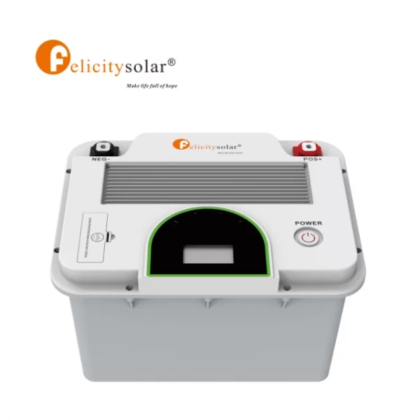 FLA12200 12v 200Ah 2.56Kwh Lithium Ion Battery LiFePO4 Cells Floor-Mounted LFP 5 Years Warranty 6000 Cycles - Image 5