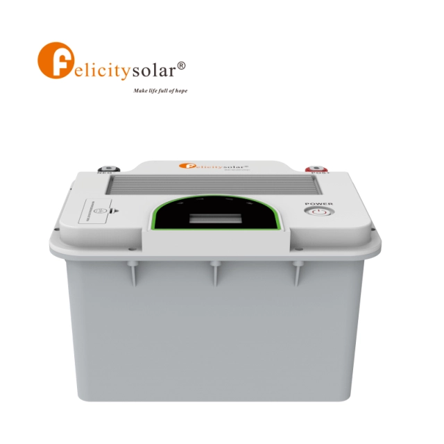 FLA12200 12v 200Ah 2.56Kwh Lithium Ion Battery LiFePO4 Cells Floor-Mounted LFP 5 Years Warranty 6000 Cycles